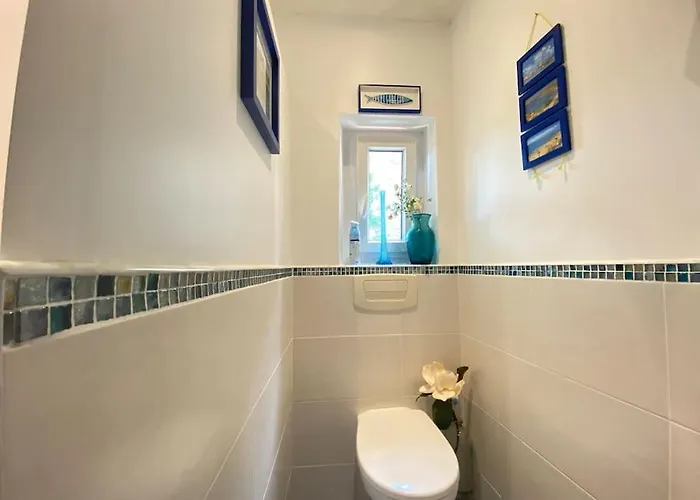 - Centre Cite Plantagenet!!! Appartement Le Mans