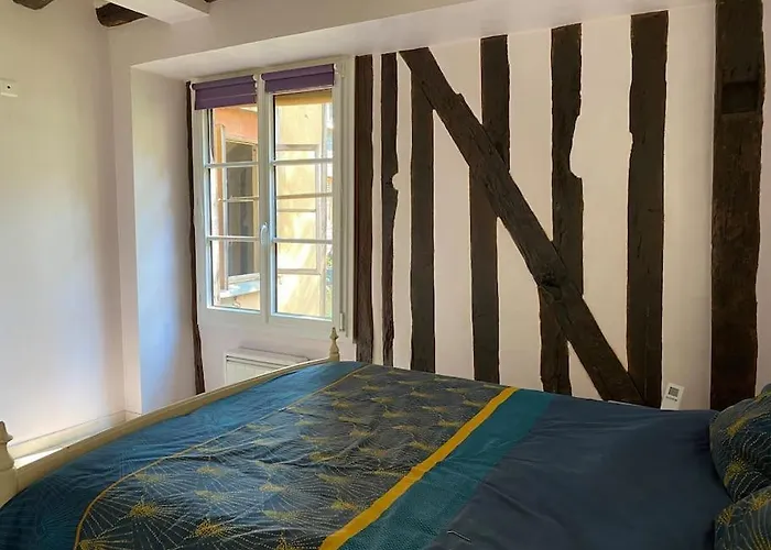 Appartement - Centre Cite Plantagenet!!! *